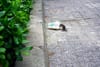 If You Have Pests, Now Feels Like The Time to Deal with Them.