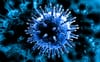 Wait a Minute. Do They Actually Want a Bird Flu Pandemic? A Look at the Preparations.