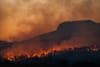 The Expiration Date: When Does Collapse Become Impossible to Survive?
