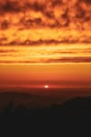 How to Survive The Hottest Summers in Human History