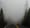 Road heads into fog.